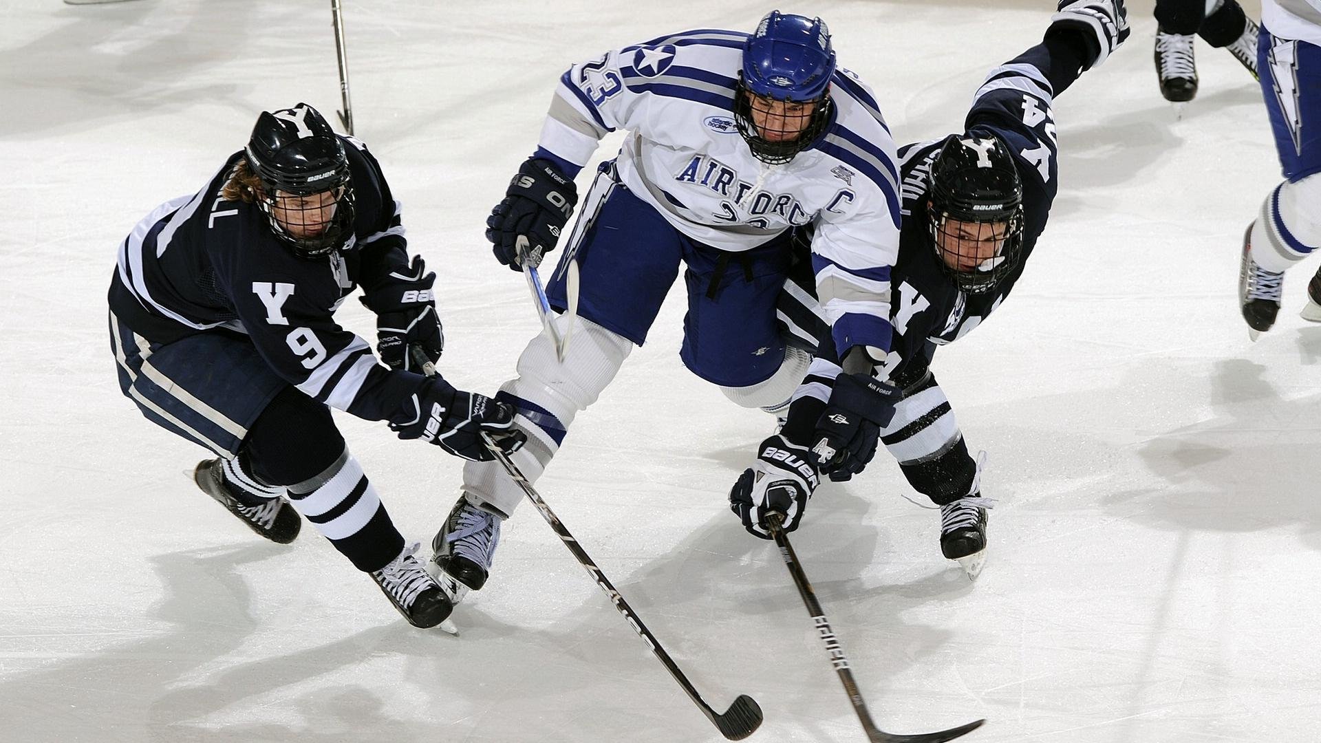 自由搏击训练体系日趋完善,自由搏击的要领
