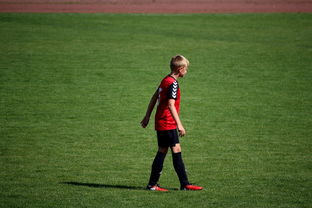 九游体育官网首页-中国足球俱乐部青训营技术指导持续加强，中国足球青训机构